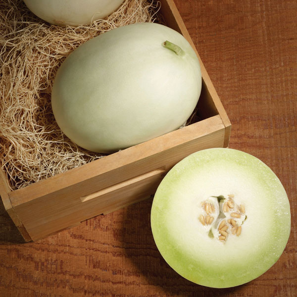Super Nectar Melon