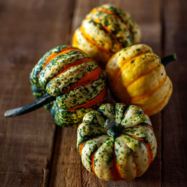 Thriller Dumpling Squash