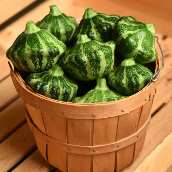 Green Lightning™ Patty Pan Squash