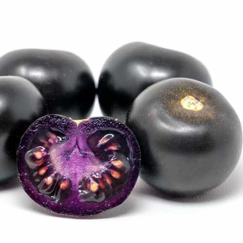Empress Tomato (Small)