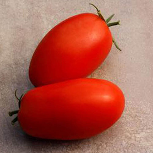Supremo Tomato (Paste/Salad)
